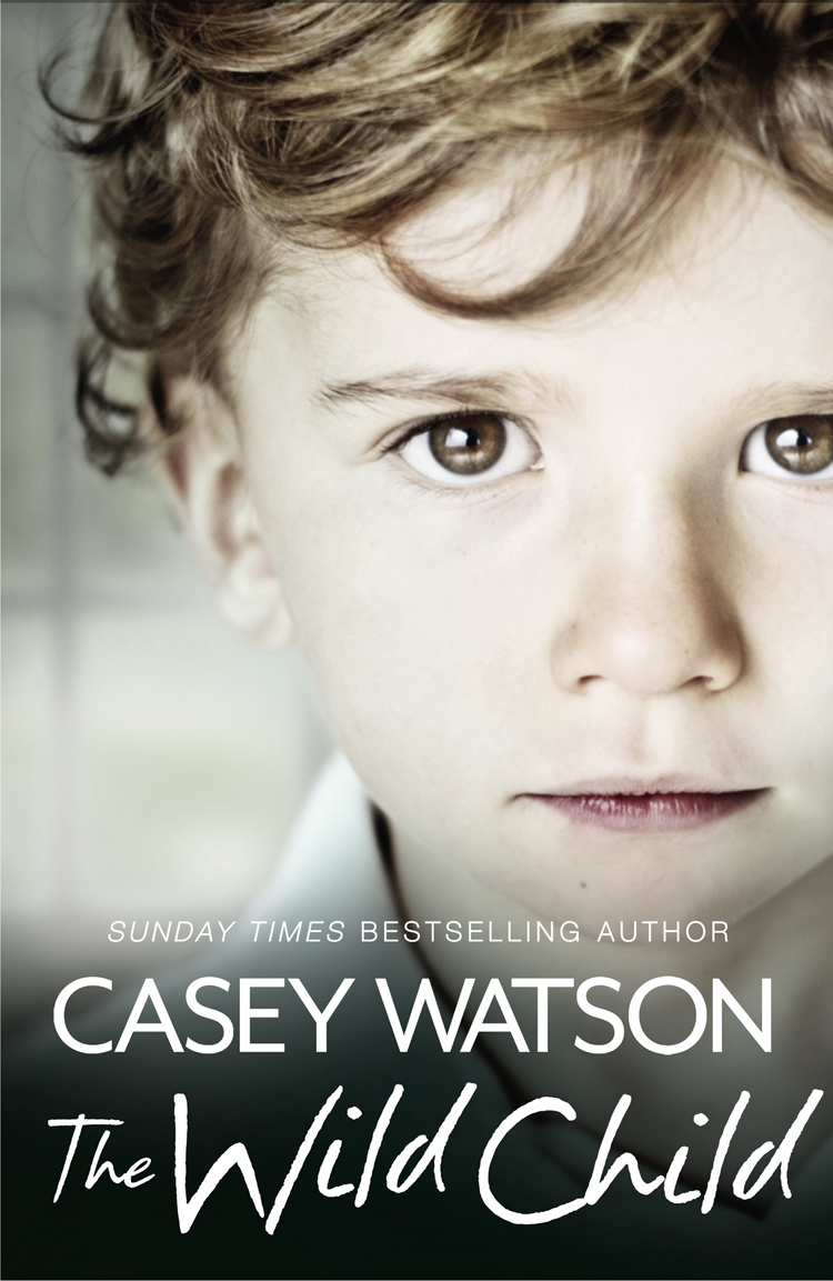 Обложка книги «The Wild Child: Secrets always find a way of revealing themselves. Sometimes you just need to know where to look: A True Short Story»