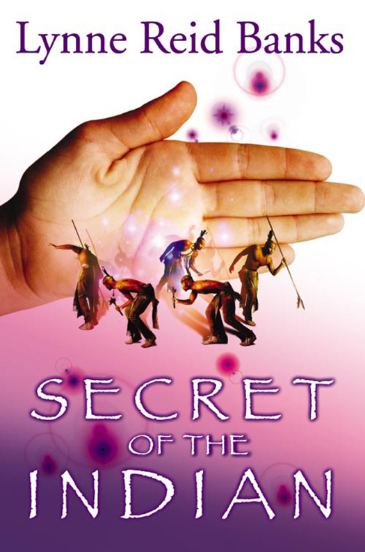 Обложка книги «Secret of the Indian»