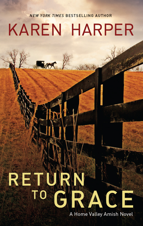 Обложка книги «Return to Grace»