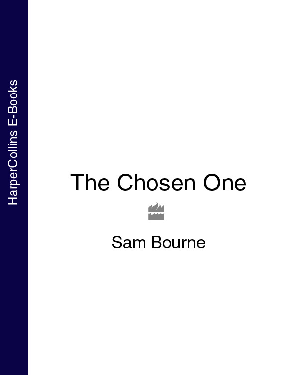 Обложка книги «The Chosen One»