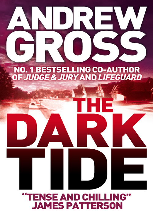 Обложка книги «The Dark Tide»