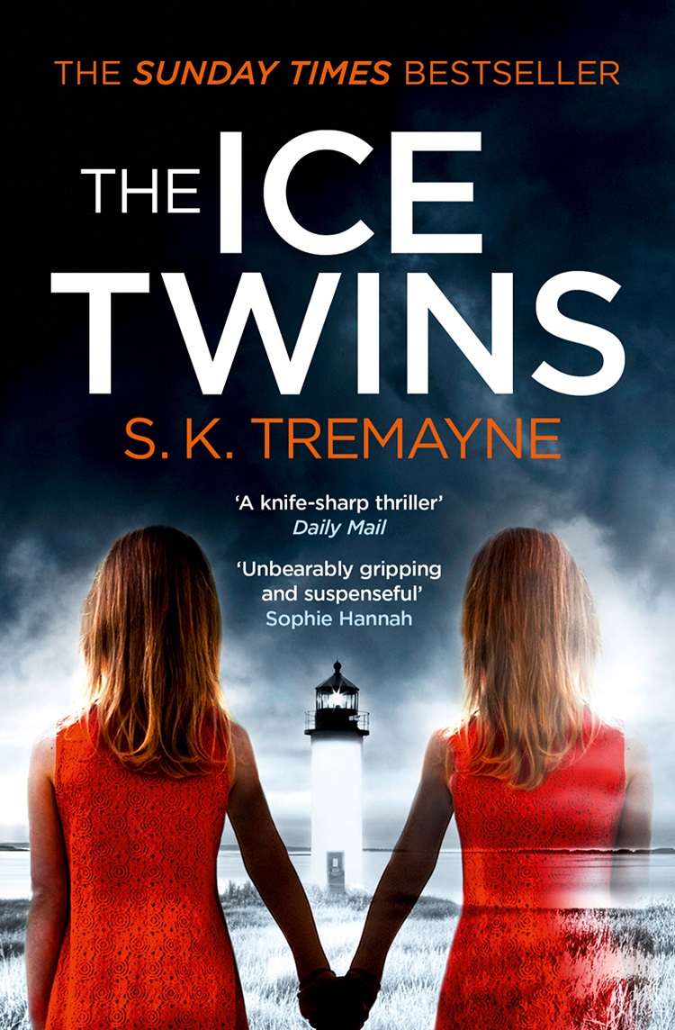 Обложка книги «The Ice Twins»