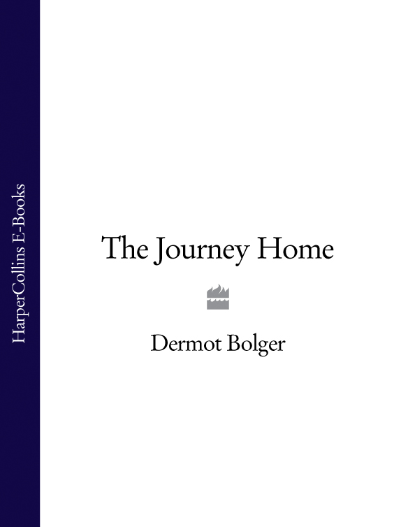 Обложка книги «The Journey Home»