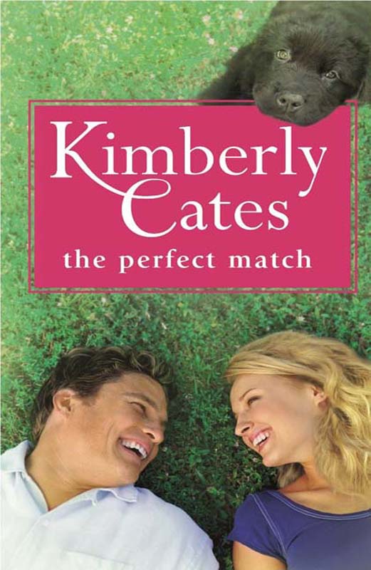 Обложка книги «The Perfect Match»