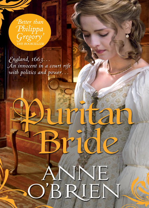 Обложка книги «Puritan Bride»
