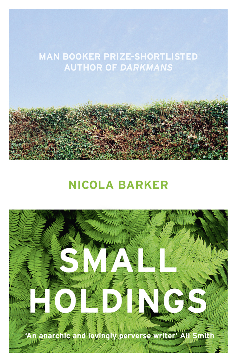 Обложка книги «Small Holdings»