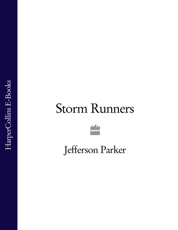 Обложка книги «Storm Runners»