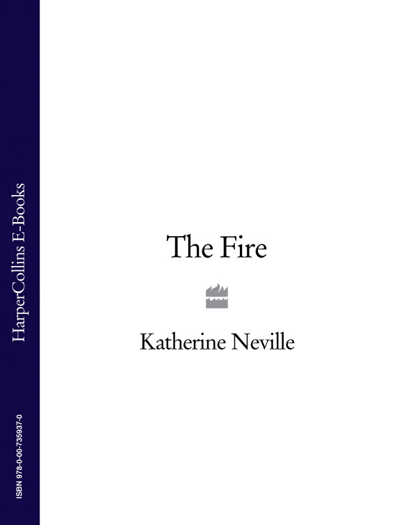 Обложка книги «The Fire»
