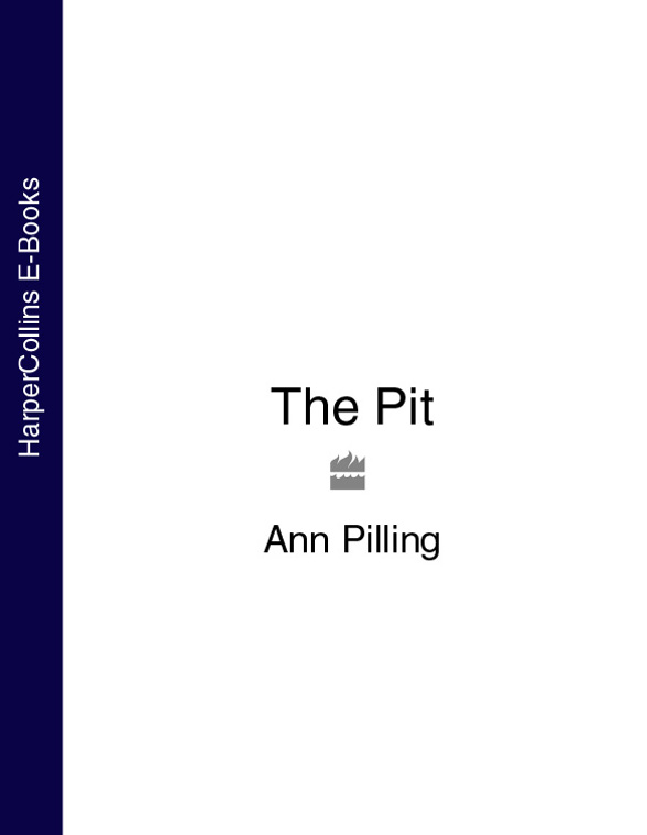 Обложка книги «The Pit»