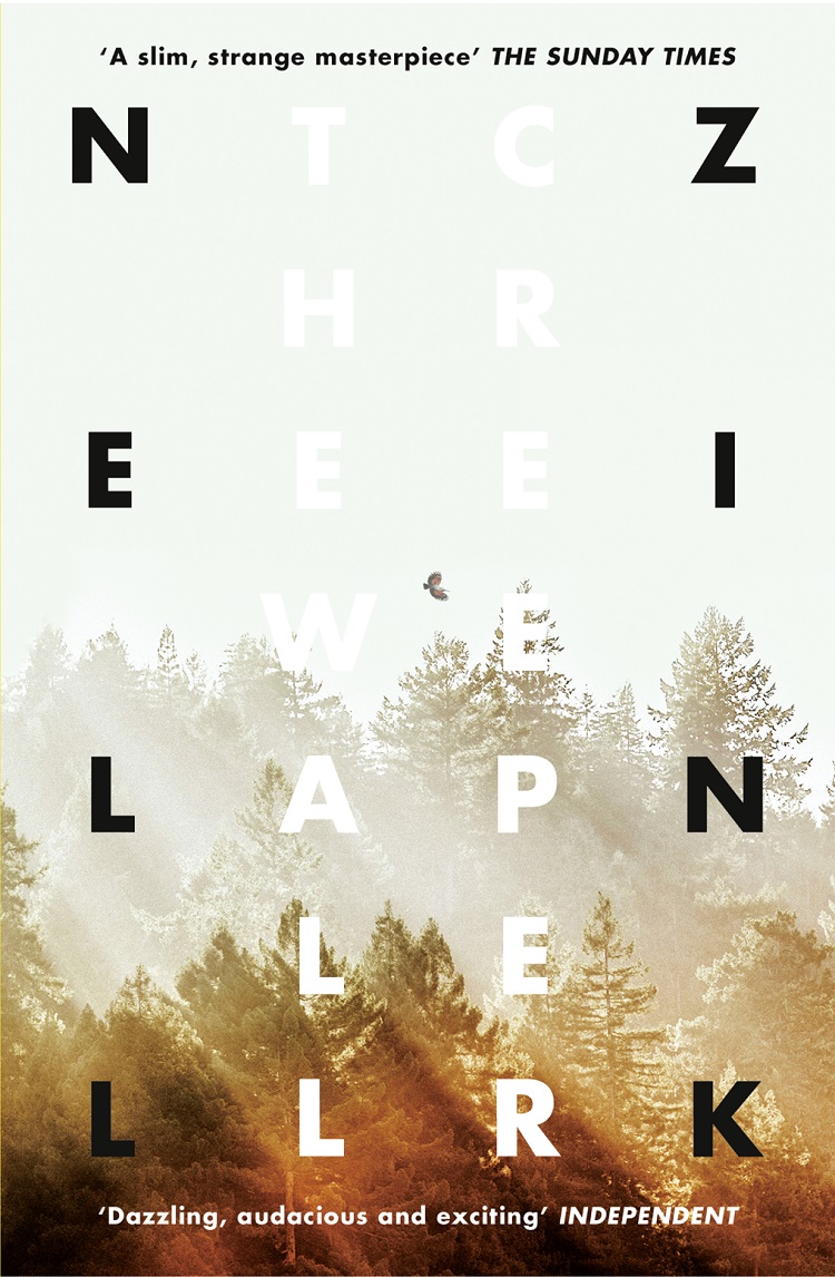 Обложка книги «The Wallcreeper»