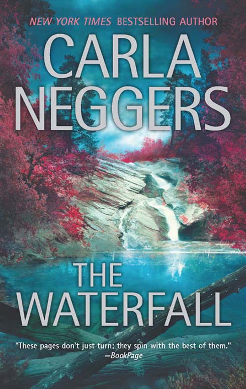 Обложка книги «The Waterfall»