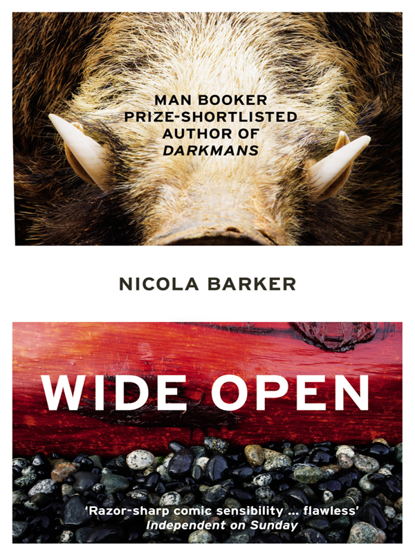 Обложка книги «Wide Open»