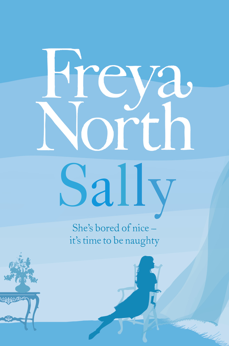 Обложка книги «Sally»