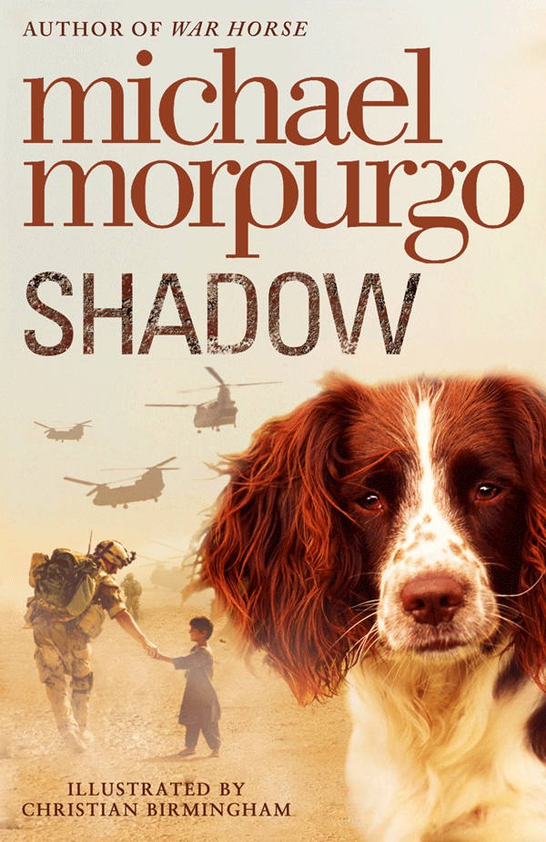 Обложка книги «Shadow»