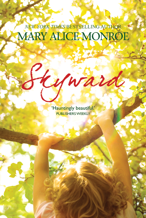 Обложка книги «Skyward»