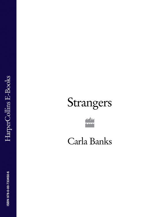 Обложка книги «Strangers»