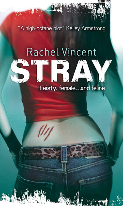 Обложка книги «Stray»