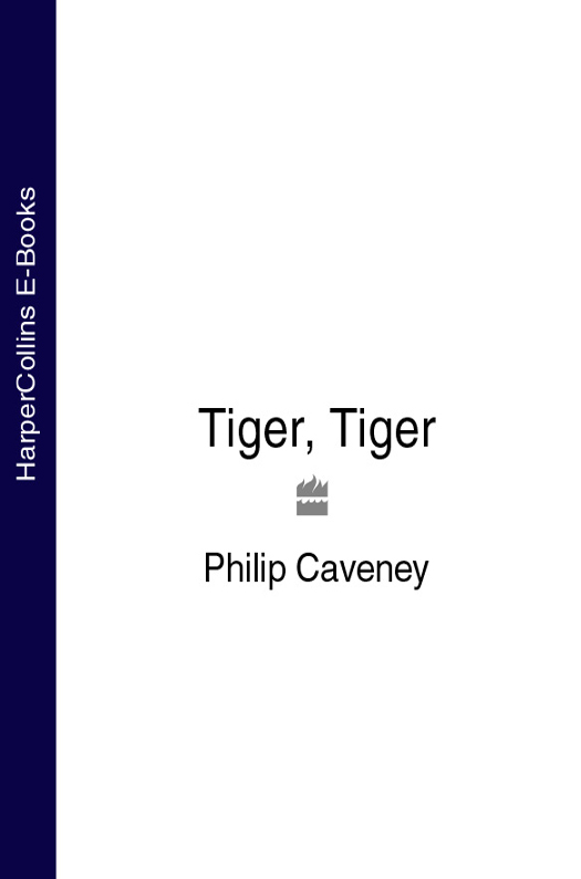 Обложка книги «Tiger, Tiger»