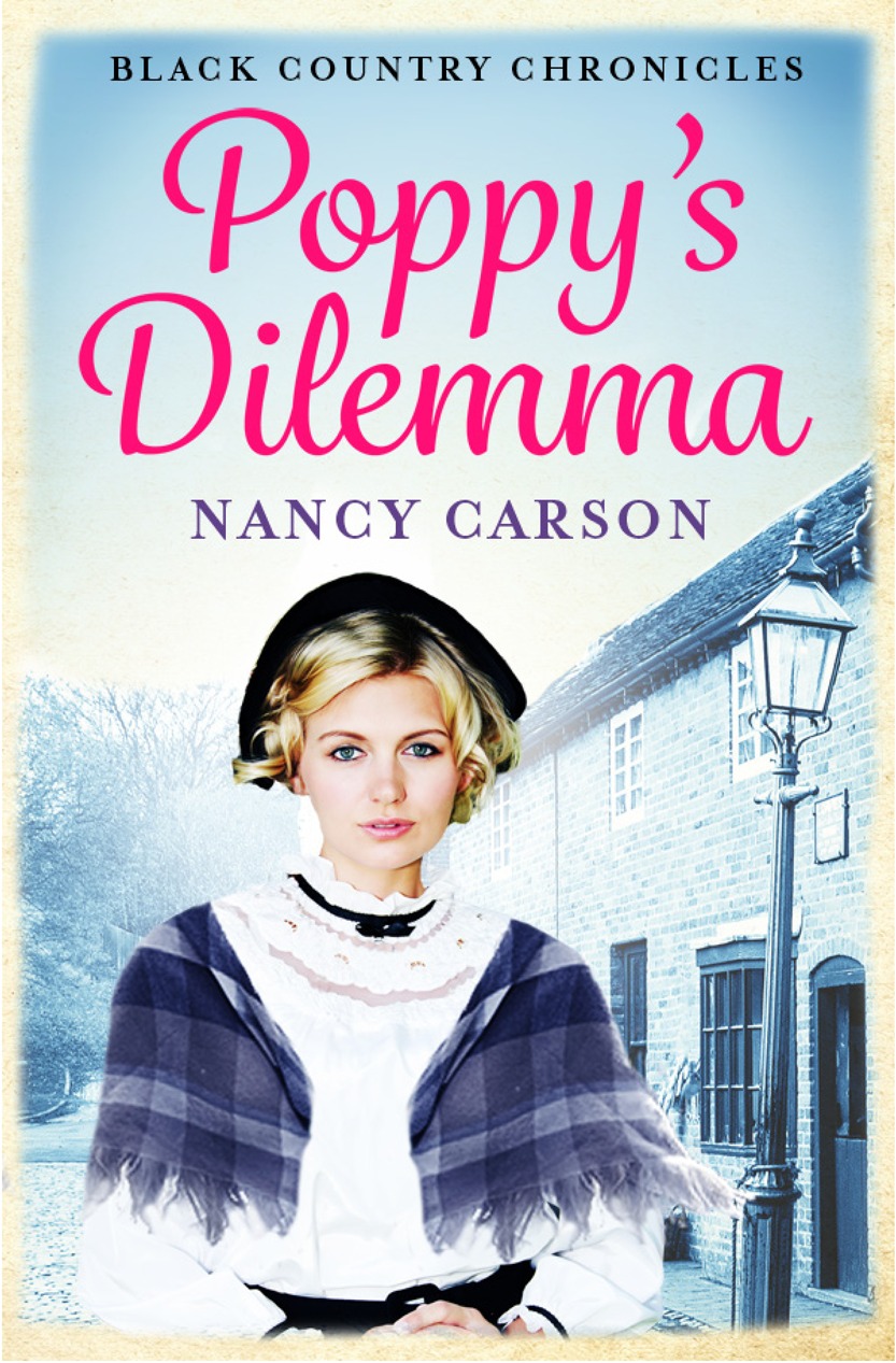 Обложка книги «Poppy’s Dilemma»