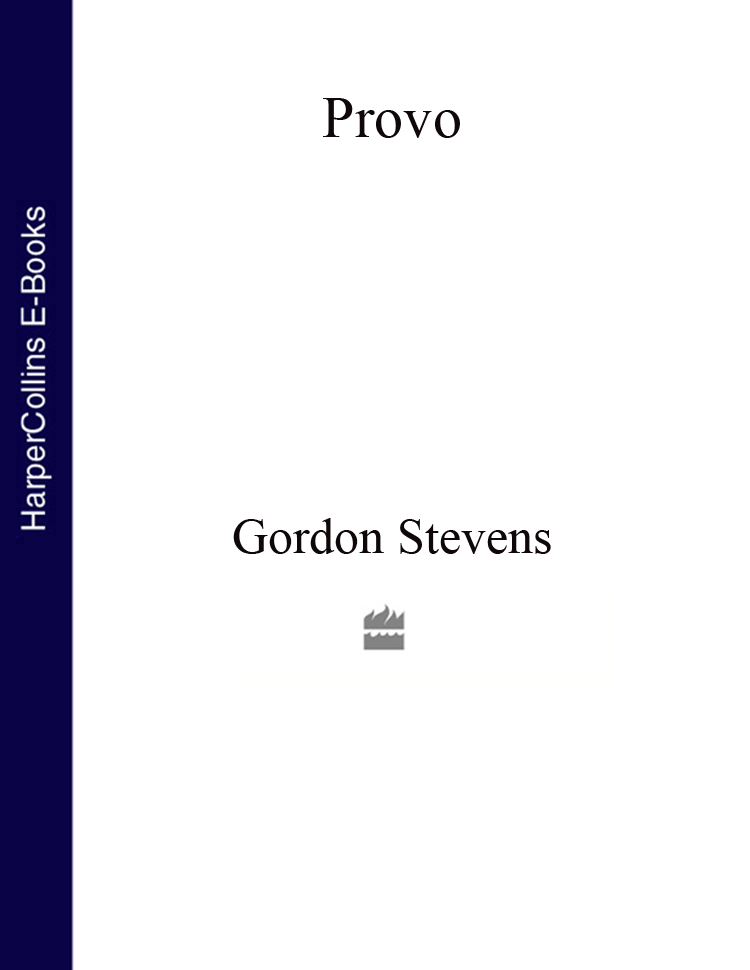Обложка книги «Provo»