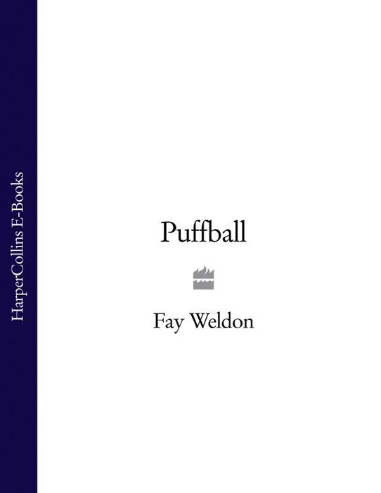 Обложка книги «Puffball»