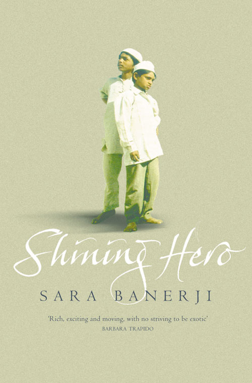 Обложка книги «Shining Hero»
