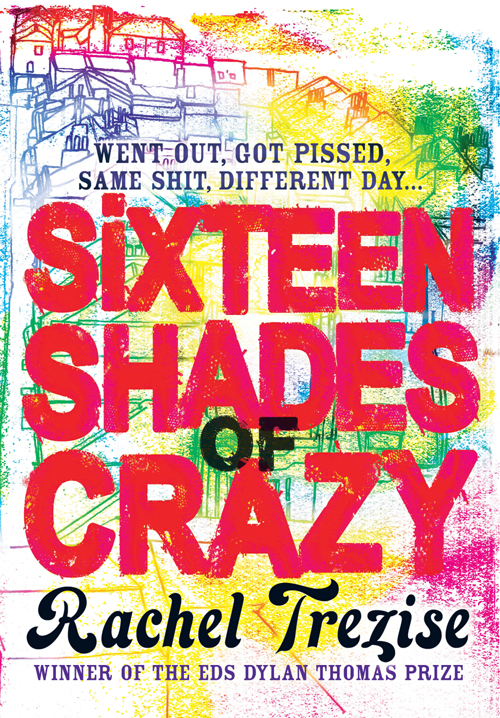 Обложка книги «Sixteen Shades of Crazy»