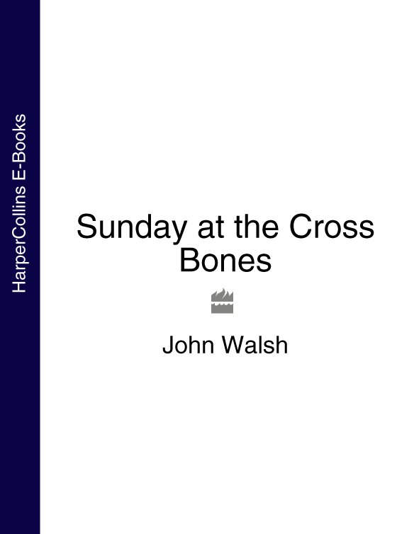 Обложка книги «Sunday at the Cross Bones»