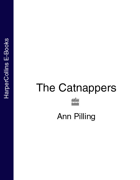 Обложка книги «The Catnappers»