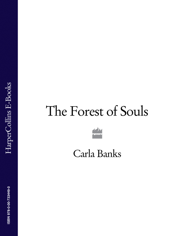 Обложка книги «The Forest of Souls»