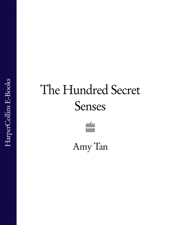 Обложка книги «The Hundred Secret Senses»