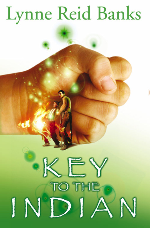 Обложка книги «The Key to the Indian»