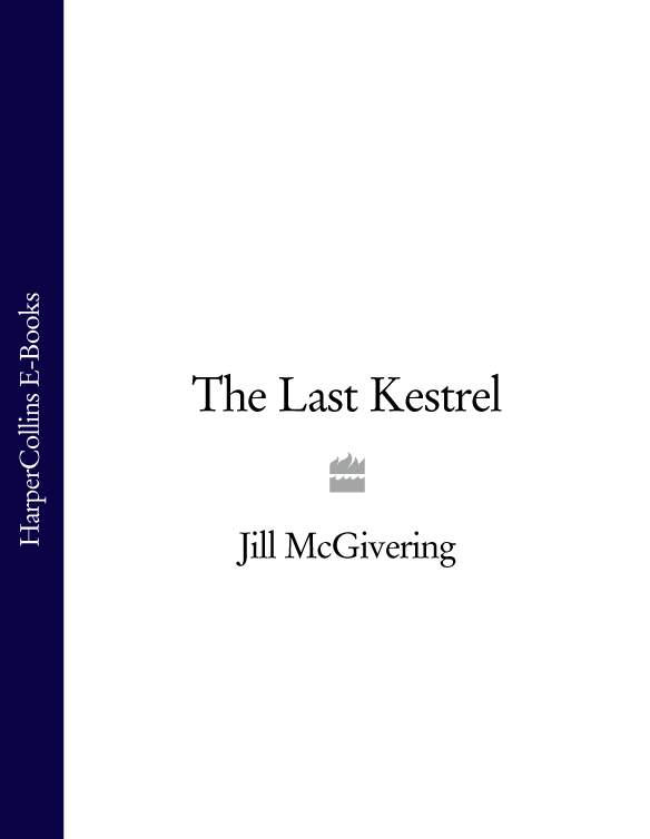 Обложка книги «The Last Kestrel»