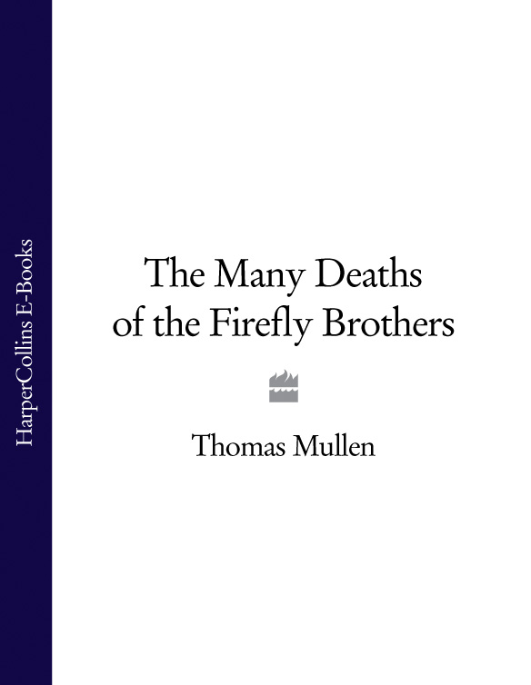 Обложка книги «The Many Deaths of the Firefly Brothers»