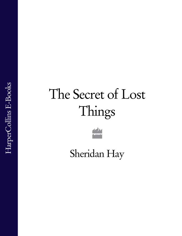 Обложка книги «The Secret of Lost Things»
