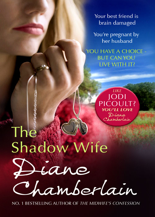 Обложка книги «The Shadow Wife»