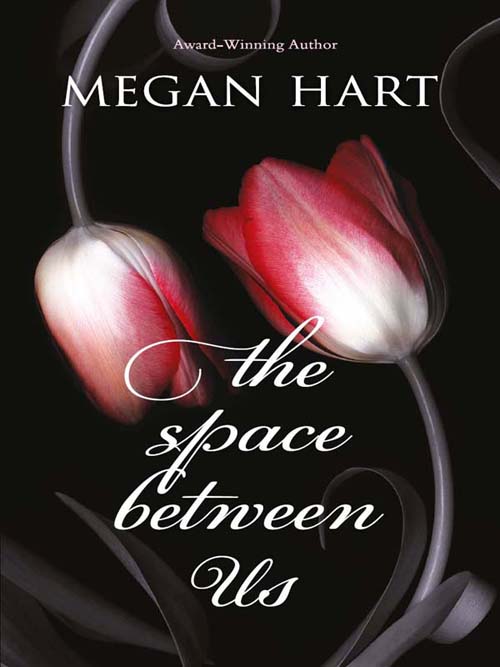 Обложка книги «The Space Between Us»