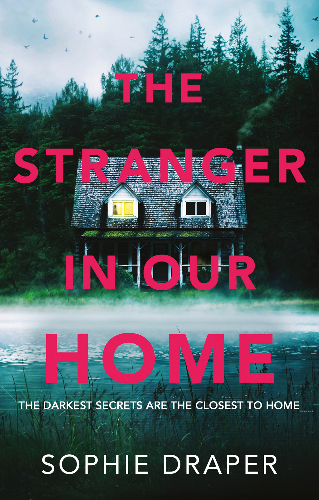 Обложка книги «The Stranger in Our Home»