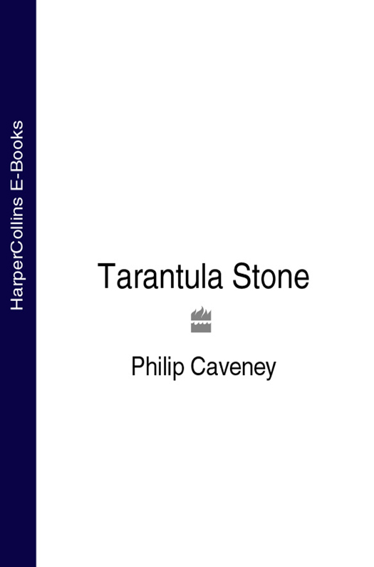 Обложка книги «The Tarantula Stone»