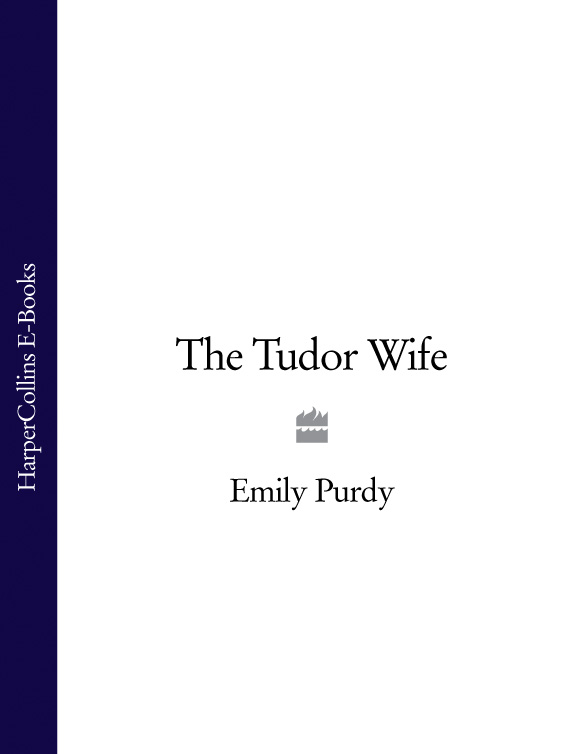 Обложка книги «The Tudor Wife»