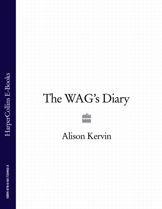Обложка книги «The WAG’s Diary»