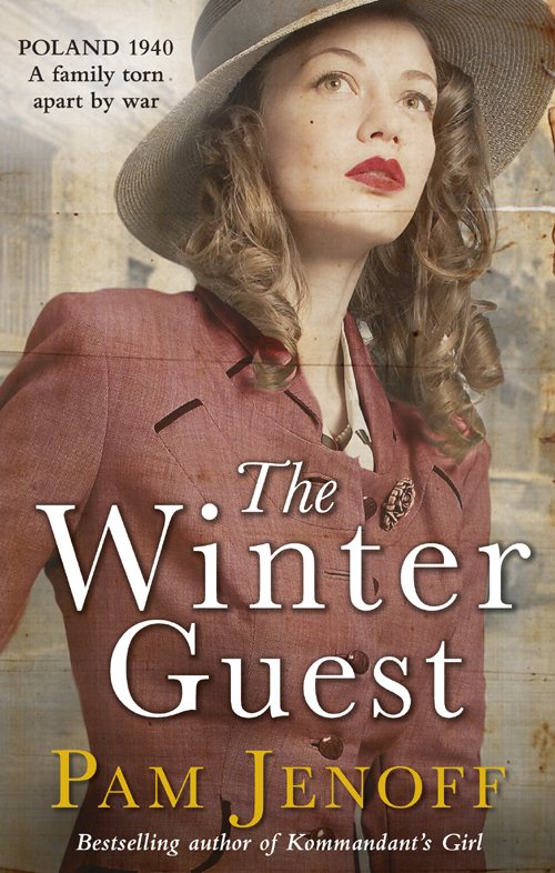 Обложка книги «The Winter Guest»