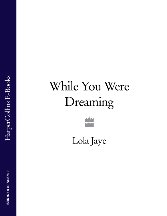 Обложка книги «While You Were Dreaming»