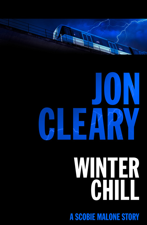 Обложка книги «Winter Chill»