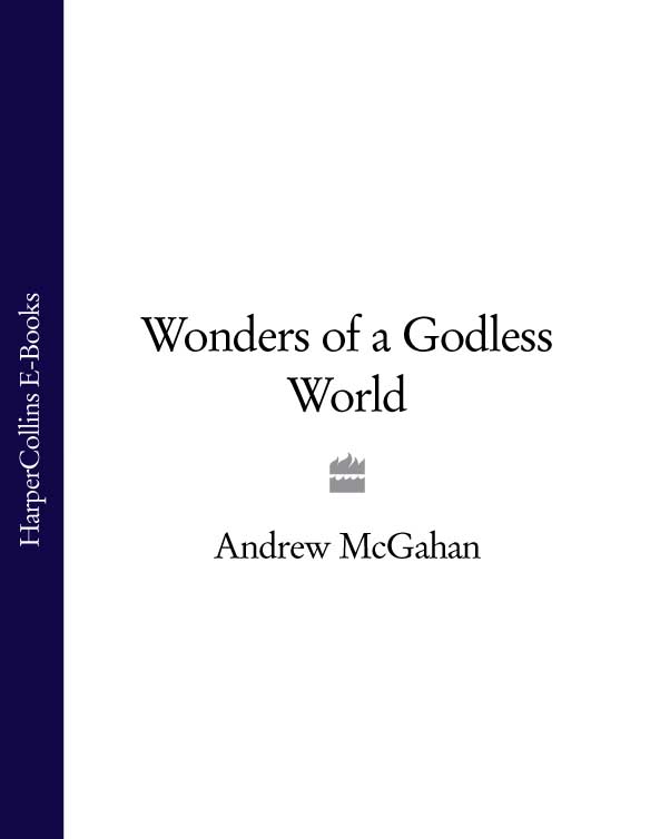 Обложка книги «Wonders of a Godless World»