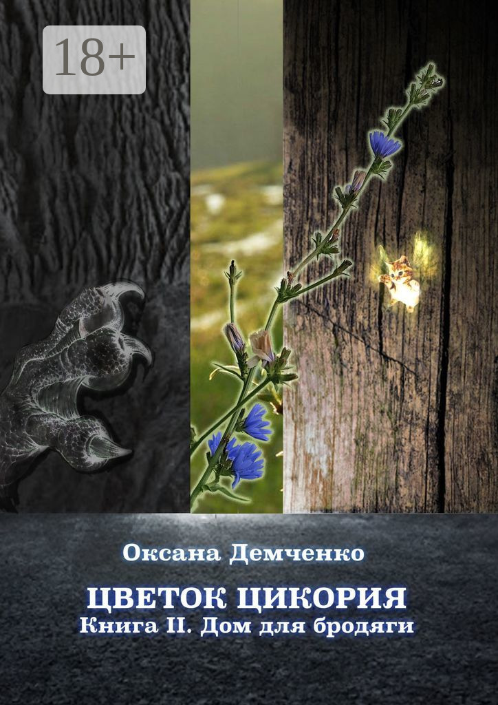 Обложка книги «Цветок цикория. Книга II. Дом для бродяги»