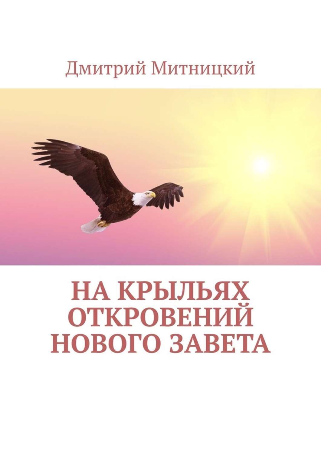 Обложка книги «На крыльях откровений Нового Завета»