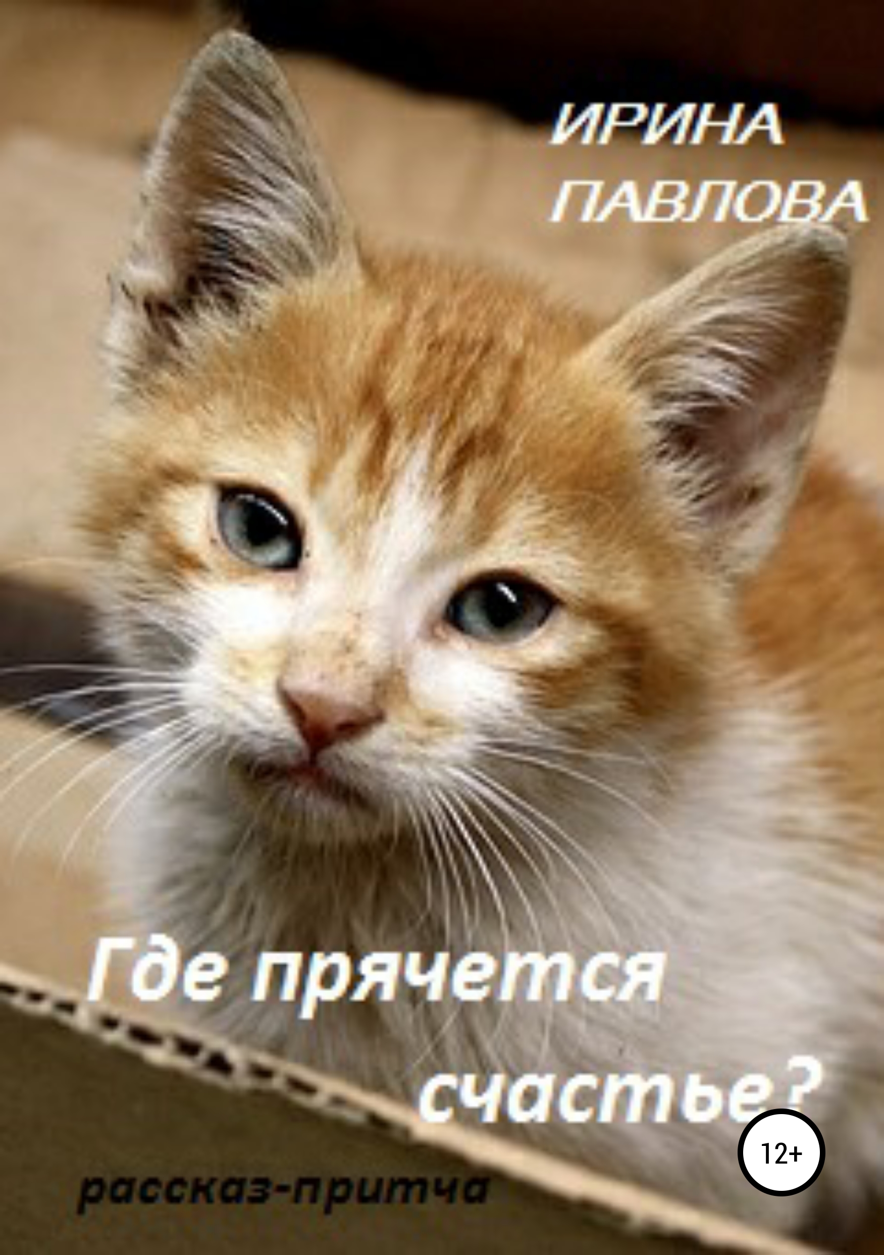 Обложка книги «Где прячется счастье?»