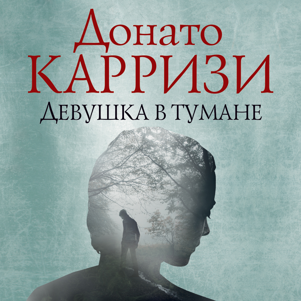 Обложка книги «Девушка в тумане»