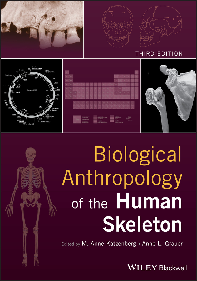 Обложка книги «Biological Anthropology of the Human Skeleton»
